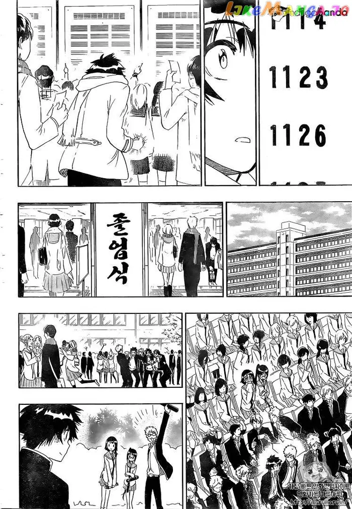 Nisekoi Chapter 228 image 19_optimized